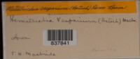 Image Associated With the Occurence